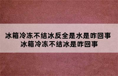 冰箱冷冻不结冰反全是水是咋回事 冰箱冷冻不结冰是咋回事